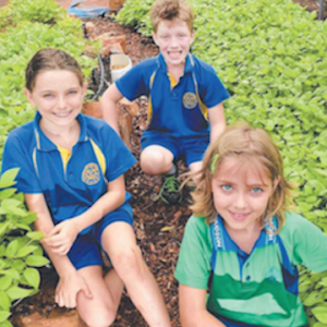 Parap Eco Schools