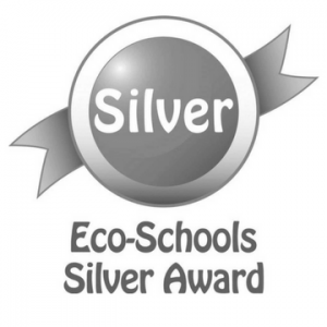 Nighcliff Primary Achieves Silver Award in Eco School Program