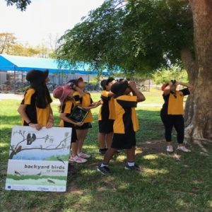 Backyard Bird Count Nightcliff Primay School Darwin 2018