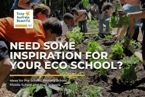 Eco Schools Inspiration