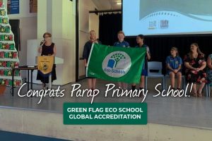 Parap Primary School Green Flag
