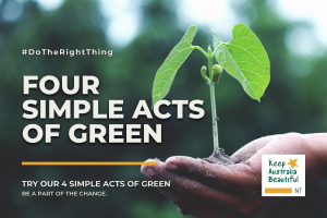 4 simple acts of green