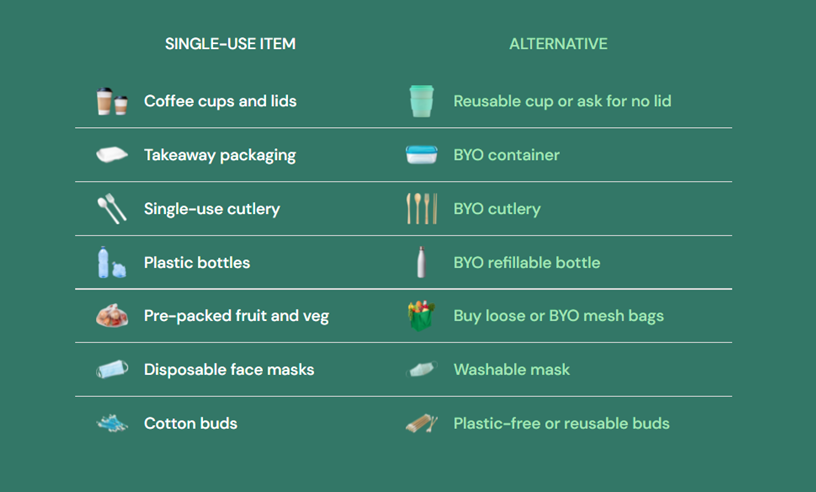 Single Use VS Eco Friendly