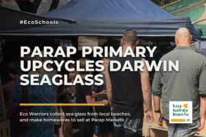 Parap Primary Collects Seaglass