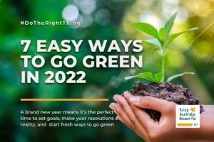 7 Easy ways to go green in 2022
